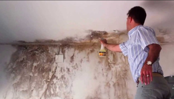 ¿Cómo quitar la humedad de la pared? Con 5 procedimientos infalibles