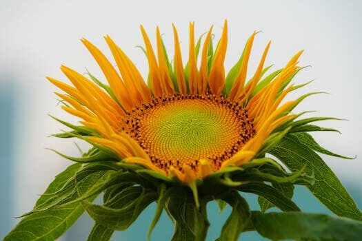 Character.AI CEO Noam Shazeer returns to Google