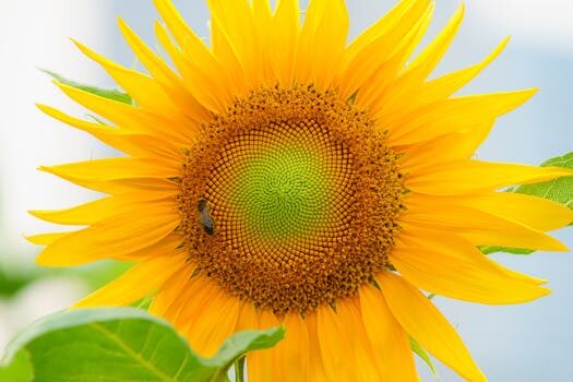 Character.AI CEO Noam Shazeer returns to Google