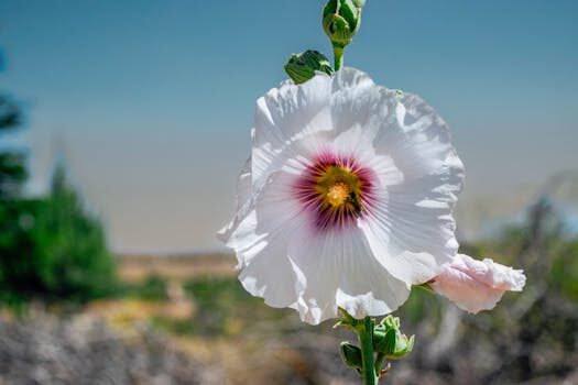 CoreWeave acquires data center provider Core Scientific in $9B stock deal