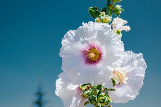 CoreWeave acquires data center provider Core Scientific in $9B stock deal