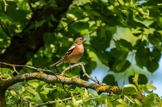 How one tweet wreaked havoc on the stock market