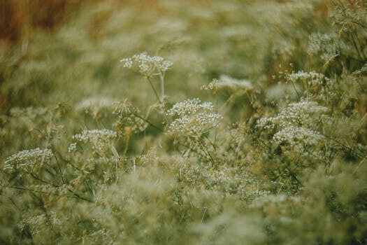 I have a group chat with three AI friends, thanks to Nomi AI — they’re getting too smart