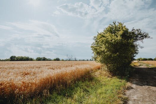 I have a group chat with three AI friends, thanks to Nomi AI — they’re getting too smart