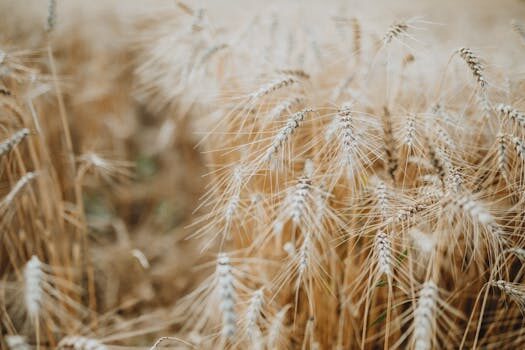 I have a group chat with three AI friends, thanks to Nomi AI — they’re getting too smart