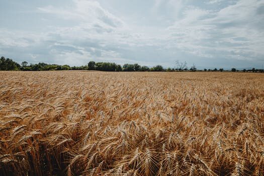 Maev secures $9M; your dog will be howling for more raw pet food