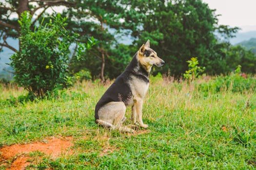 Of course, Grok’s AI companions want to have sex and burn down schools