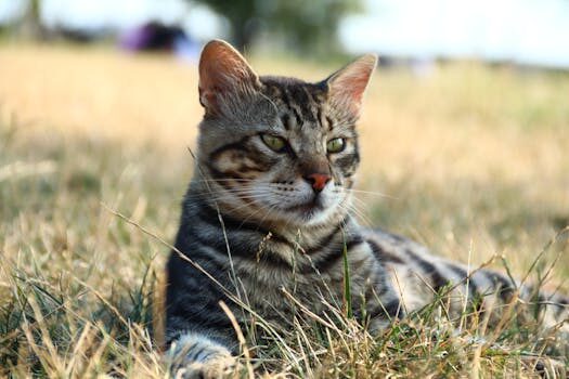 Of course, Grok’s AI companions want to have sex and burn down schools