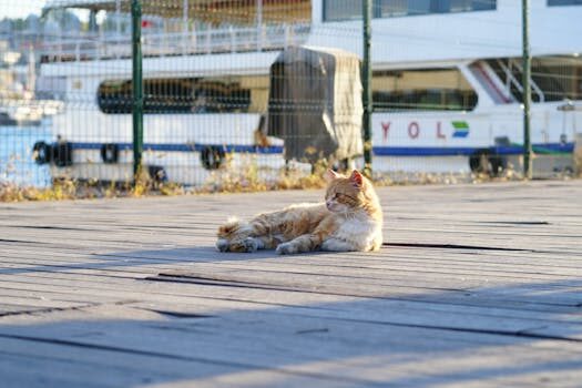 Of course, Grok’s AI companions want to have sex and burn down schools