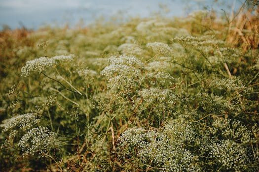 Optery using its new funding to evolve from data broker opt-outs to personal info platform