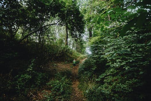 Review: Samsung’s Galaxy S7 Active is ready to razzle dazzle