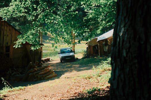 Spotify has disabled Car Thing streaming devices