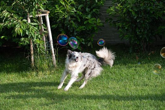 Telly, the ‘free’ smart TV with ads, has privacy policy red flags