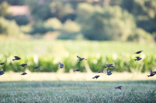 Twitter’s former head of Trust & Safety, Yoel Roth, joins Tinder owner Match Group