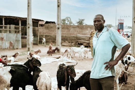 Vividly wants to put some sparkle in your next CPG trade promotion campaign